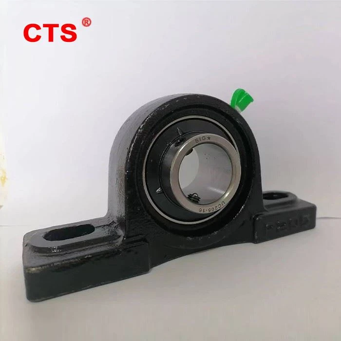 info-1-1 Solid Base Pillow Block Bearing